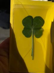 Otgonkhishig Batbayar