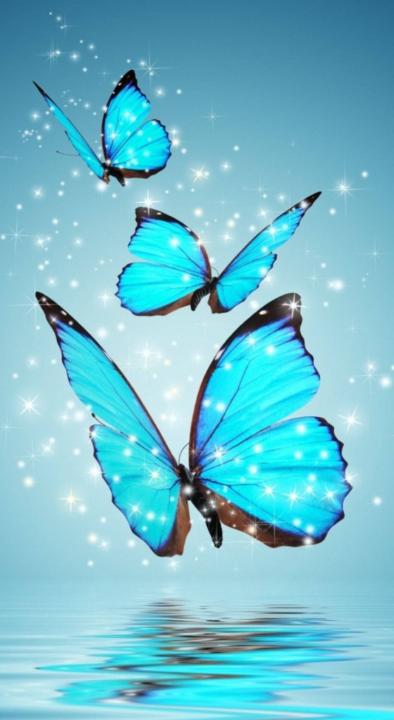 Vanina Julieta Storti