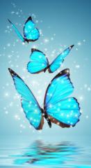 Vanina Julieta Storti