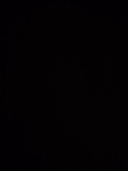 Alexander Petropoulos