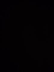 Alexander Petropoulos