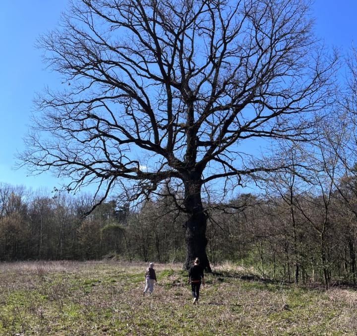 Katarzyna Burzak-Winiarska