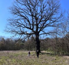 Katarzyna Burzak-Winiarska