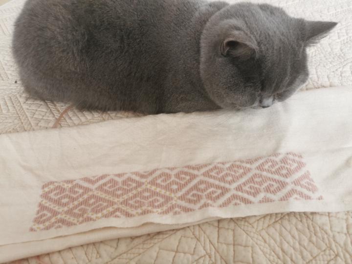 Valentina Dobrostomat