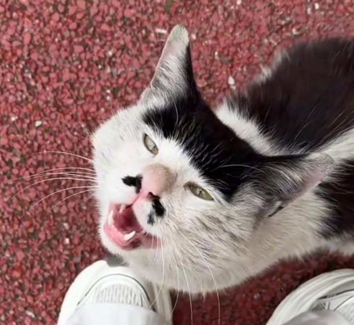 Fayna Martín Rodríguez