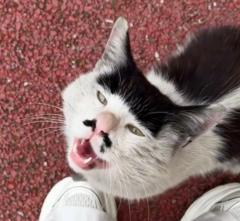 Fayna Martín Rodríguez