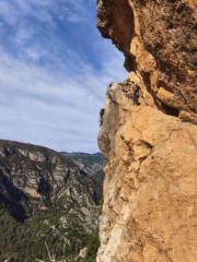 Pau Miralles Ferràs