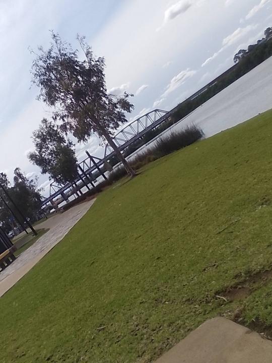 River Murray 🖤💛❤️