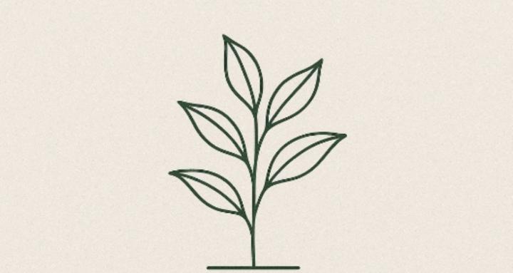 The Plant Skool 