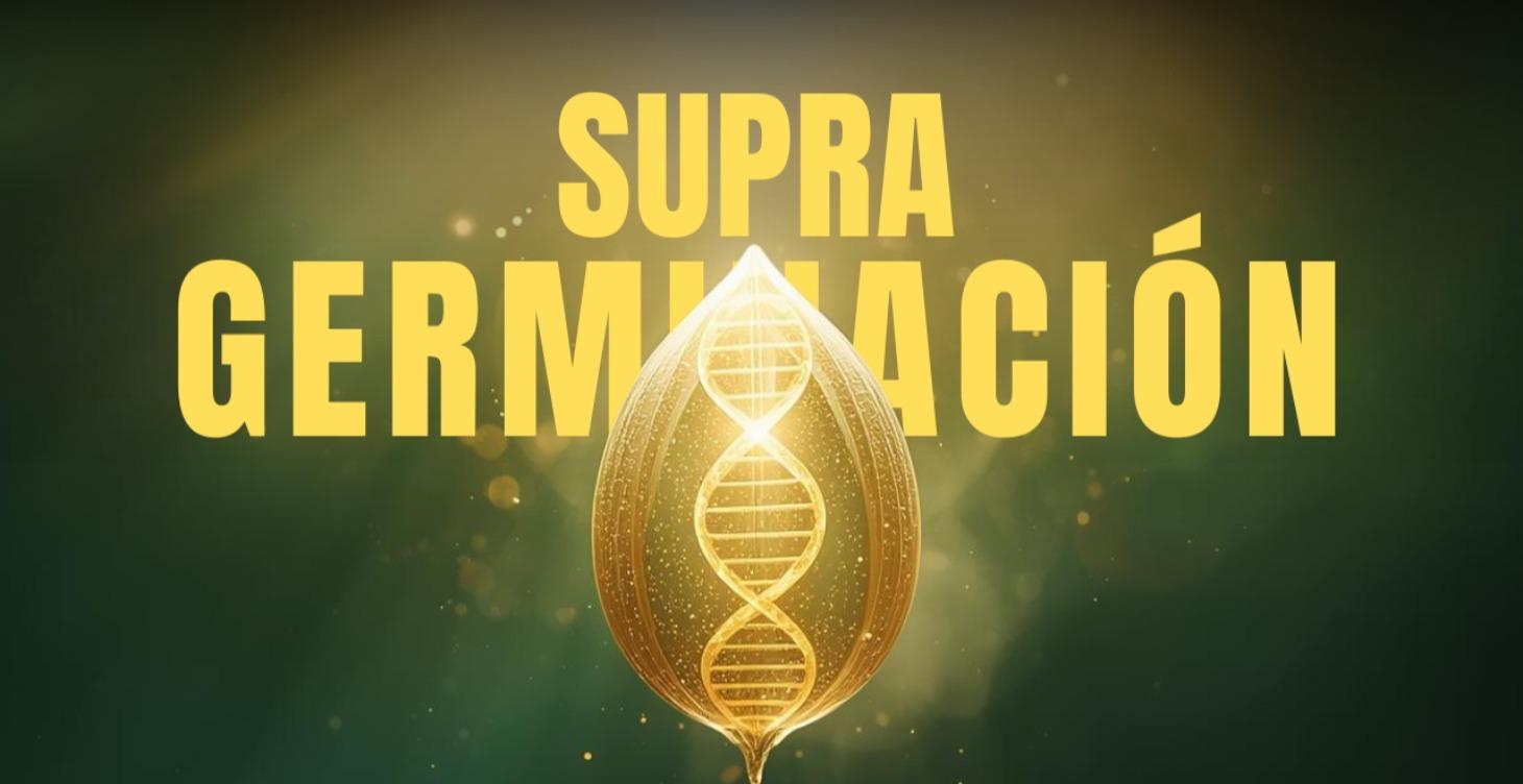 SUPRAGERMINACIÓN · El curso