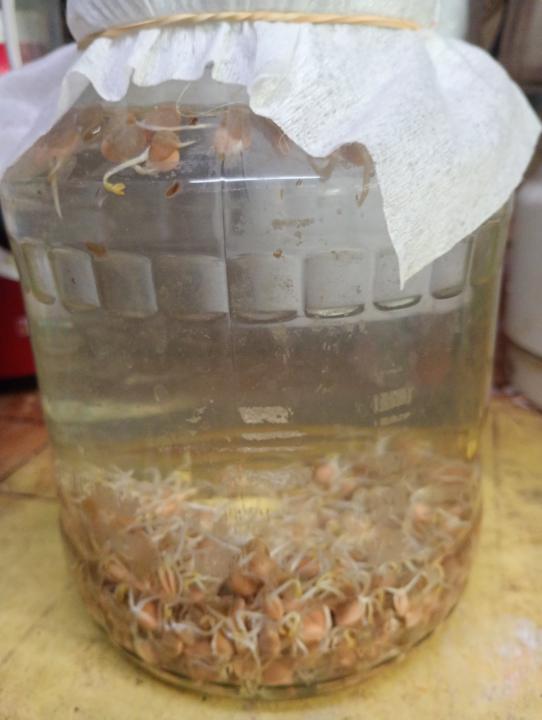 Re-tomando... día 1.