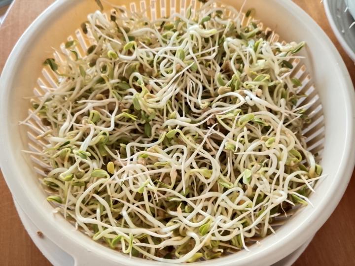 mí cosecha de hoy 🤩