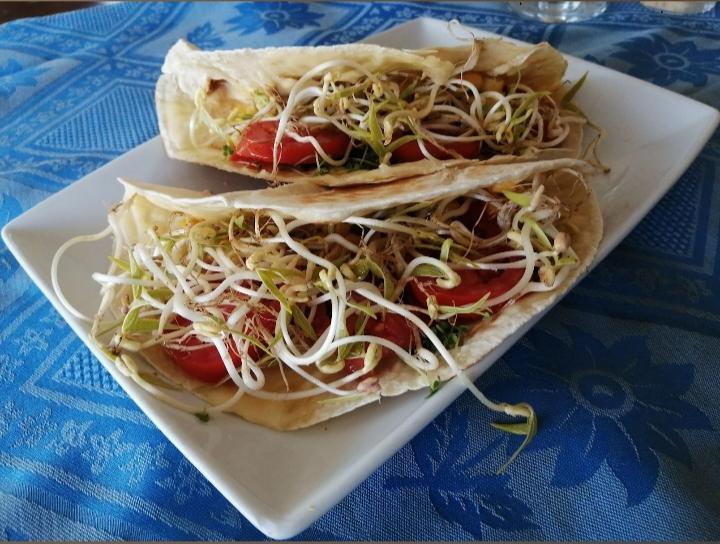 germinados de mung 🌱😋