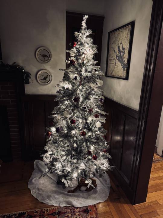 Show us your tree! 🌲 