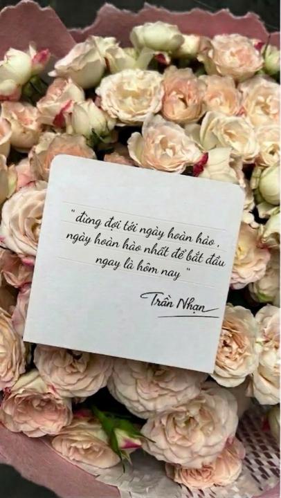 Đừng đợi tới ngày hoàn hảo