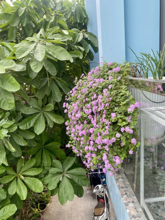 Người trưởng thành thật sự thường nói ít hơn
