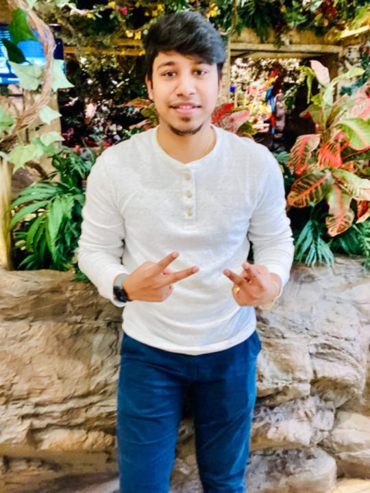 Vikram Palani