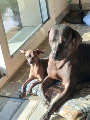 Malou Valérie Frouin