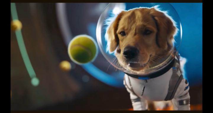 AI Video for Starters 