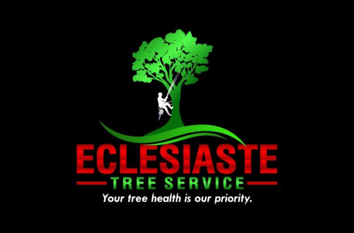 Eclesiaste Sanon