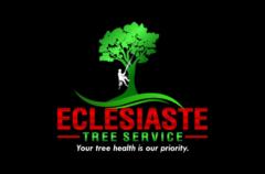 Eclesiaste Sanon