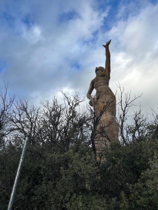 Shayra Morales Reyes