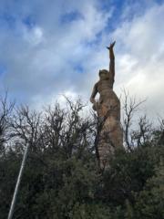 Shayra Morales Reyes