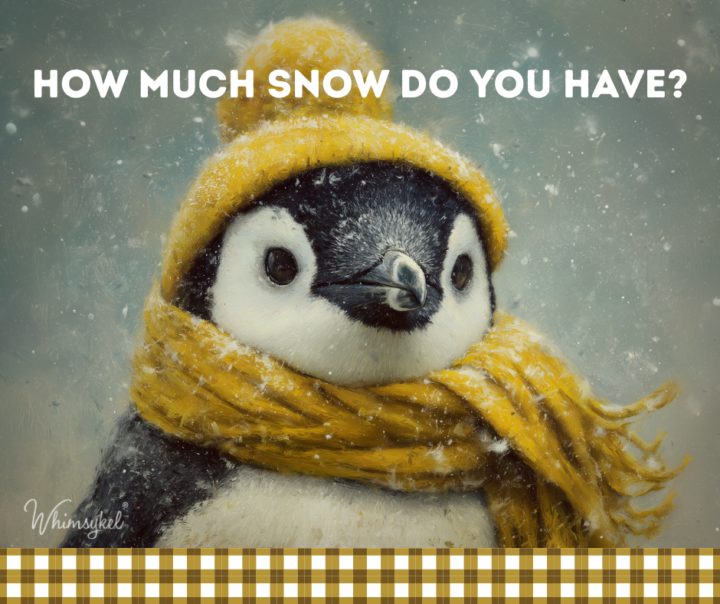 ❄️ Did the storm bury you?