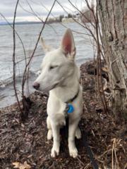 Thalia Lambert-Paquette