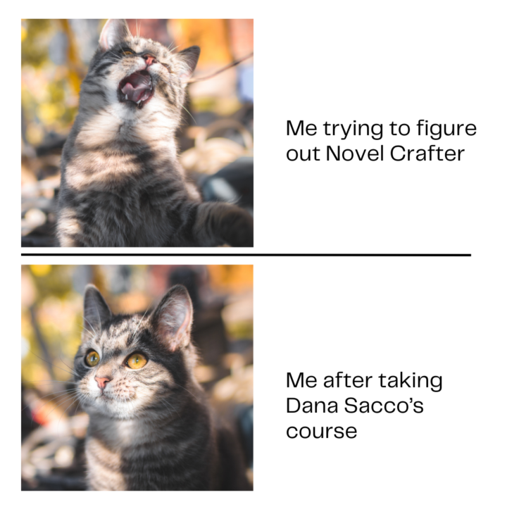 Am I right? I'm right!