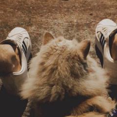 Sergio Montoya villada