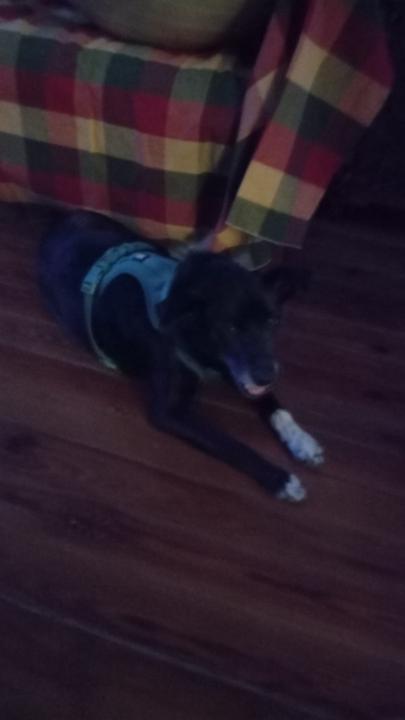 Maria valentina gzech Beghloldh