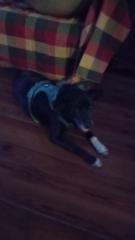 Maria valentina gzech Beghloldh