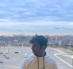 Vineet Mamidela