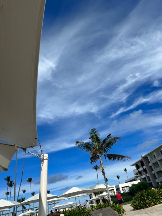 Yvelia Batista tatis