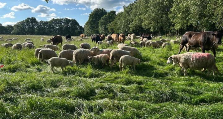 Regenerative Agriculture