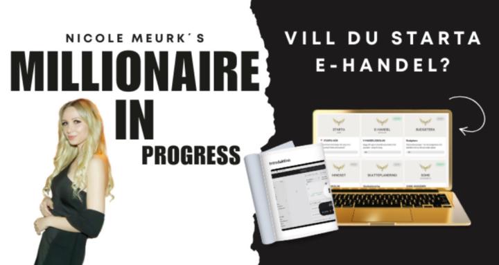 Millionaire In Progress