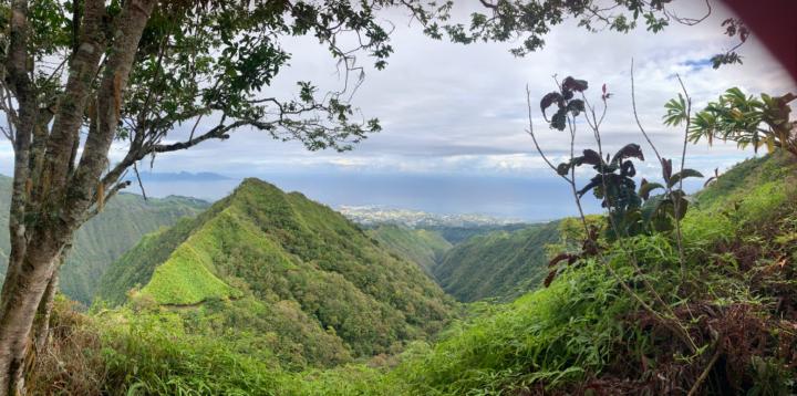 Véronique Le cointre