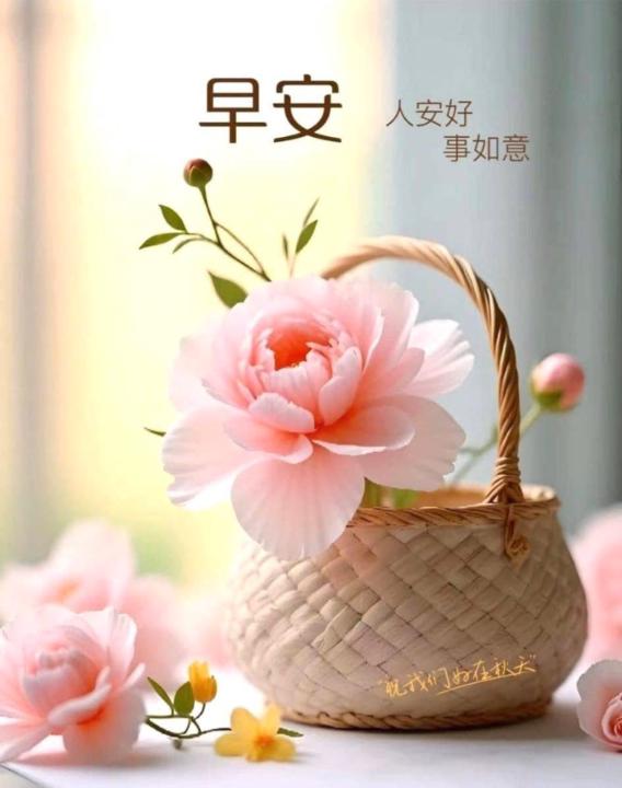 桂蘭 嚴