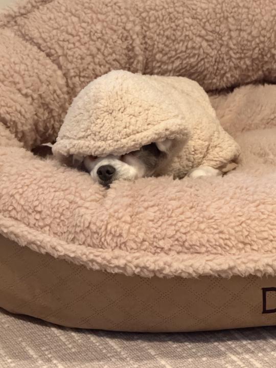 New Members Starts Here