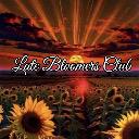Late Bloomers Club icon