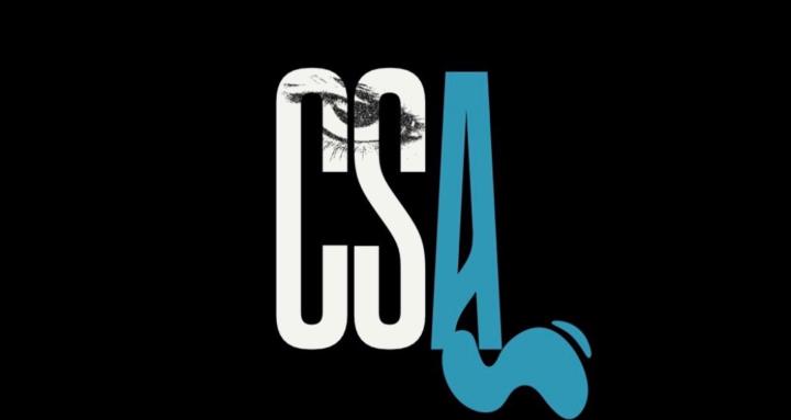 CSA - Cyber Sucess Academy