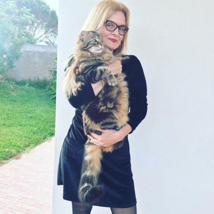 Renata.Araujo Araújo