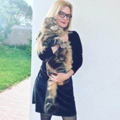 Renata.Araujo Araújo