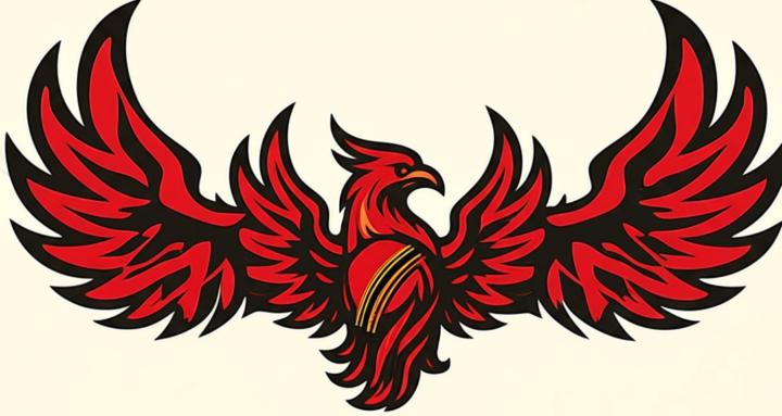 Phoenix Cricket Coaching