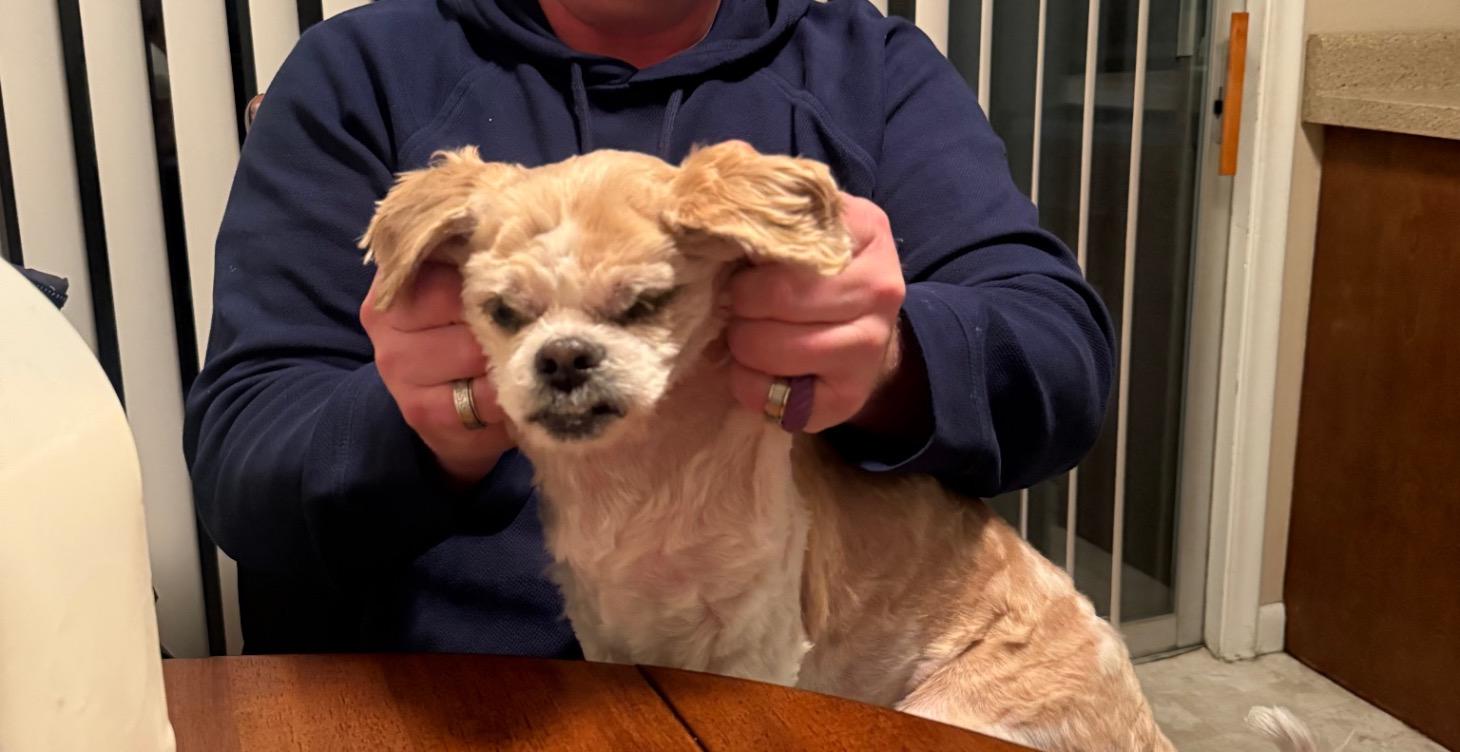 DaD’n- Dads Doing after Divorce