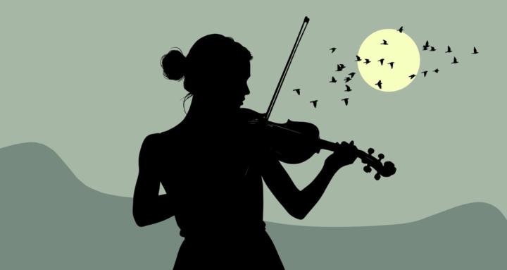 Violin Beginner Course