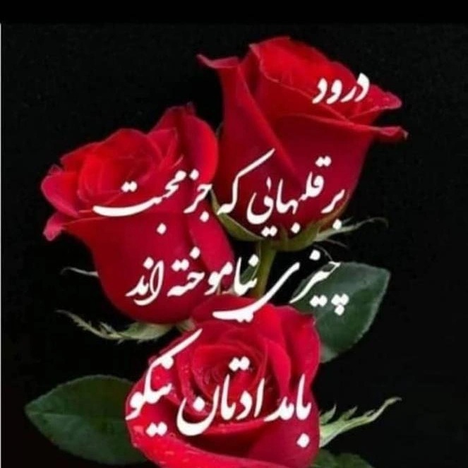 کمال مرتضی زاده