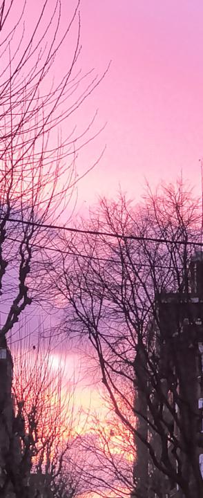 Cuando madrugar tiene premio.