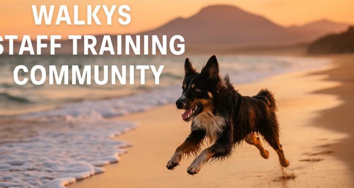 Walkys Staff Training